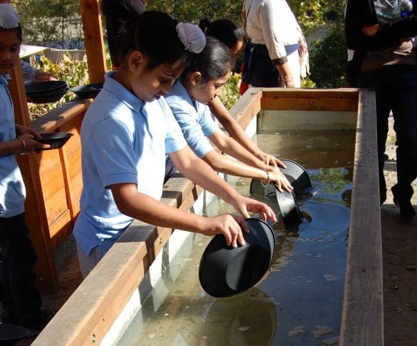 Gold Rush Panning American River