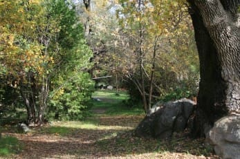 Fall colors at Mother Lode River Center